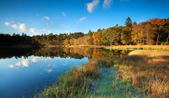 Aandachtstrekker Limburg